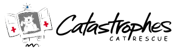 Catastrophes Cat Rescue