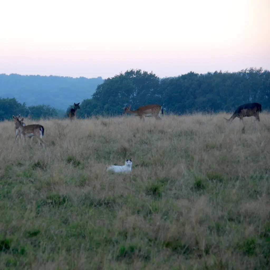 WhatsApp Image 2023-10-20 at 16.09.32