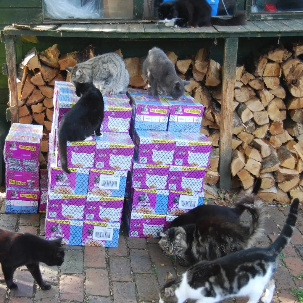 WhatsApp Image 2023-10-20 at 16.38.17