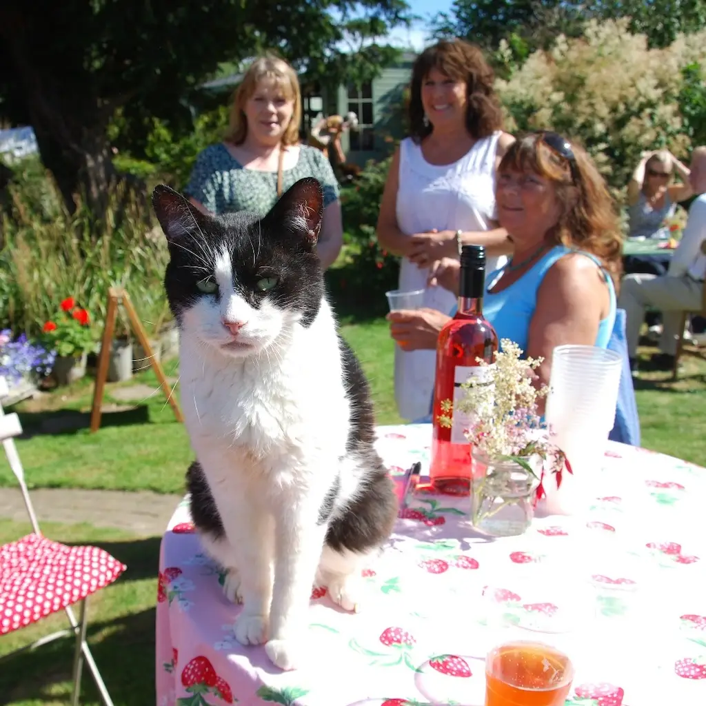 WhatsApp Image 2023-10-20 at 18.28.30