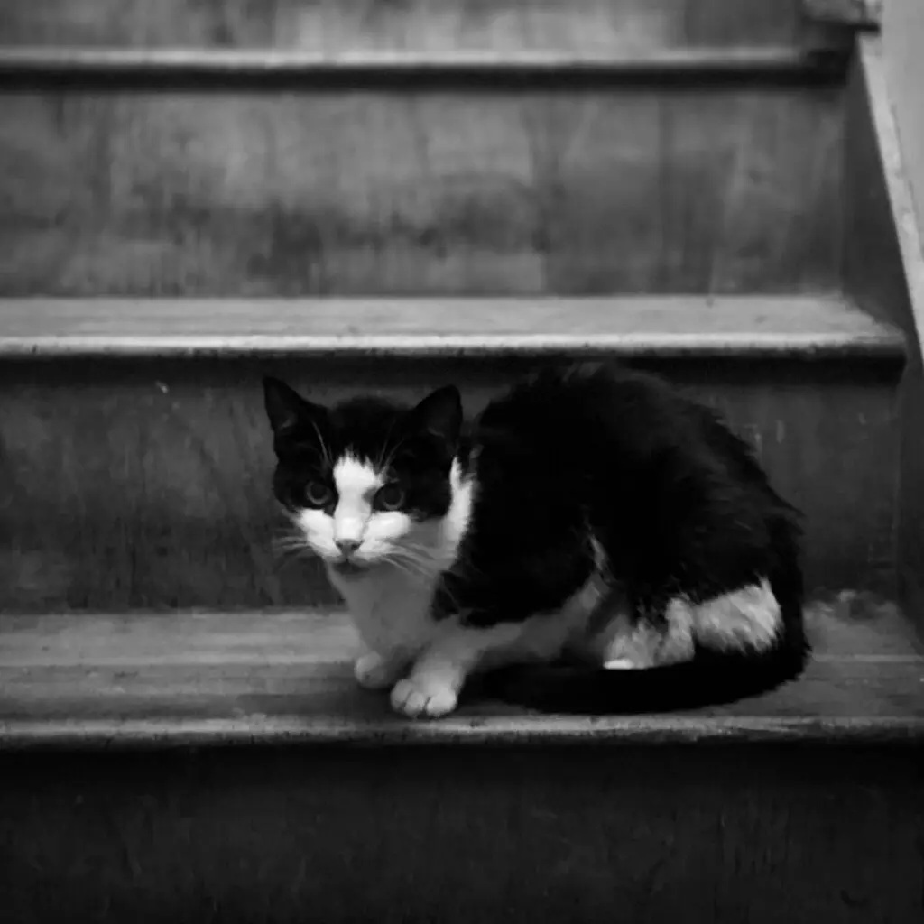 WhatsApp Image 2023-10-21 at 00.25.29