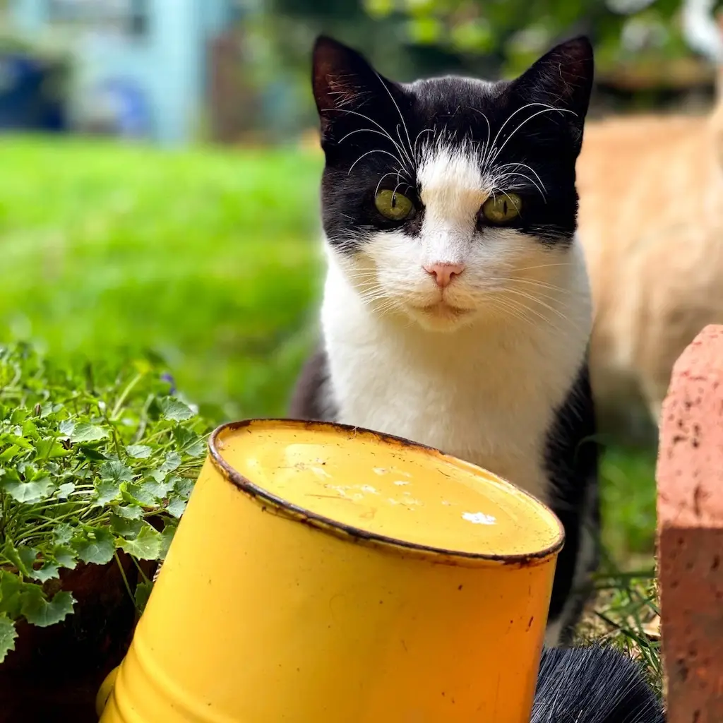 WhatsApp Image 2023-10-21 at 00.25.30 (1)