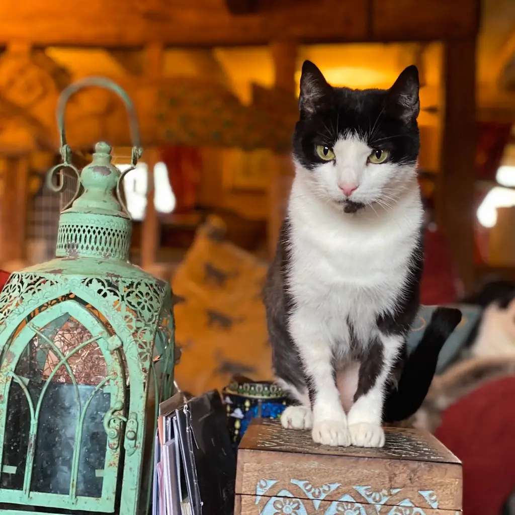 WhatsApp Image 2023-10-21 at 00.25.30