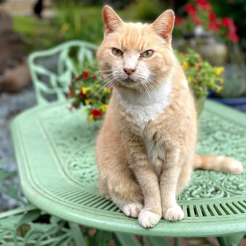 WhatsApp Image 2023-10-21 at 00.25.34