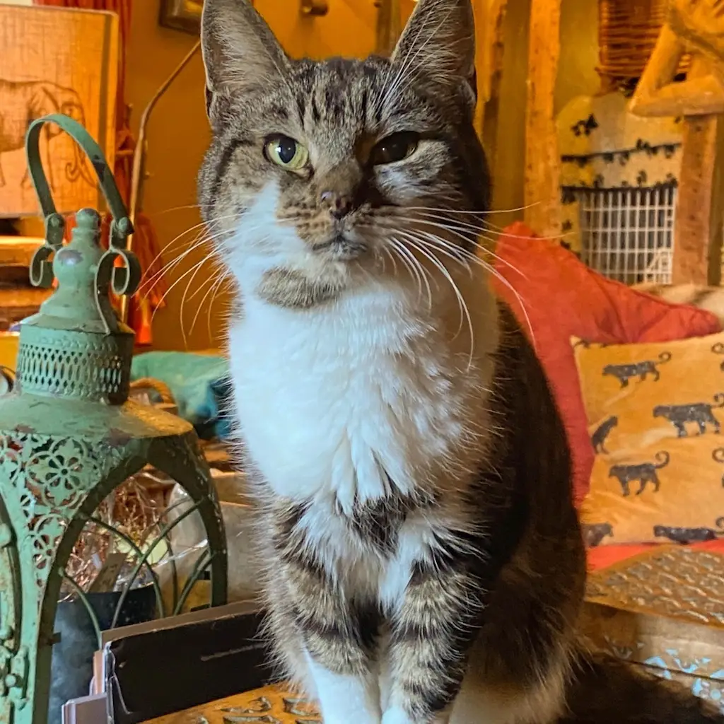 WhatsApp Image 2023-10-21 at 00.25.35