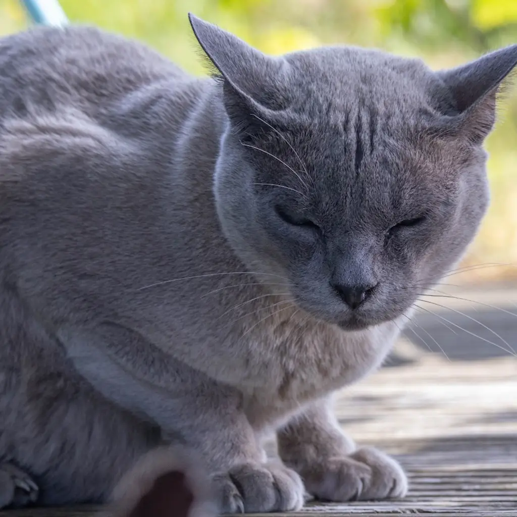 WhatsApp Image 2023-10-21 at 22.57.02 (1)