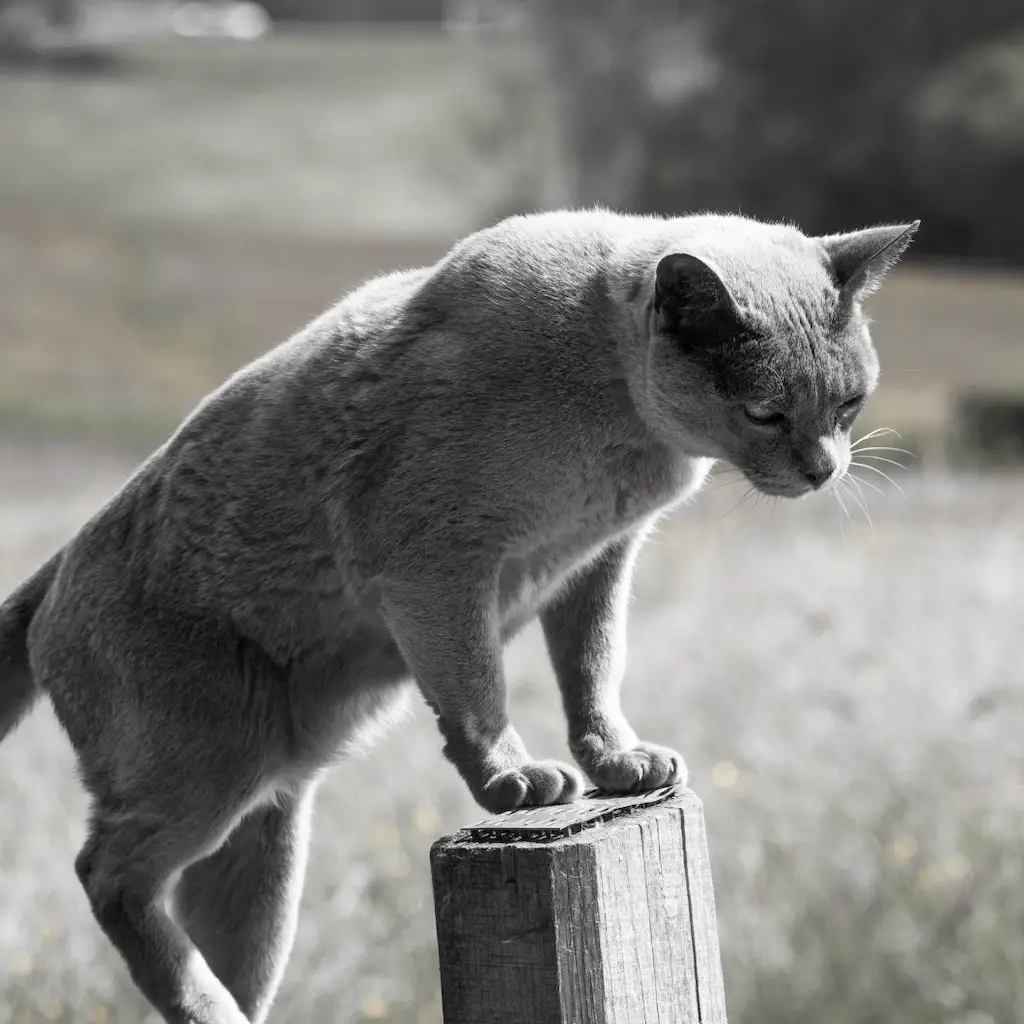 WhatsApp Image 2023-10-21 at 22.57.02