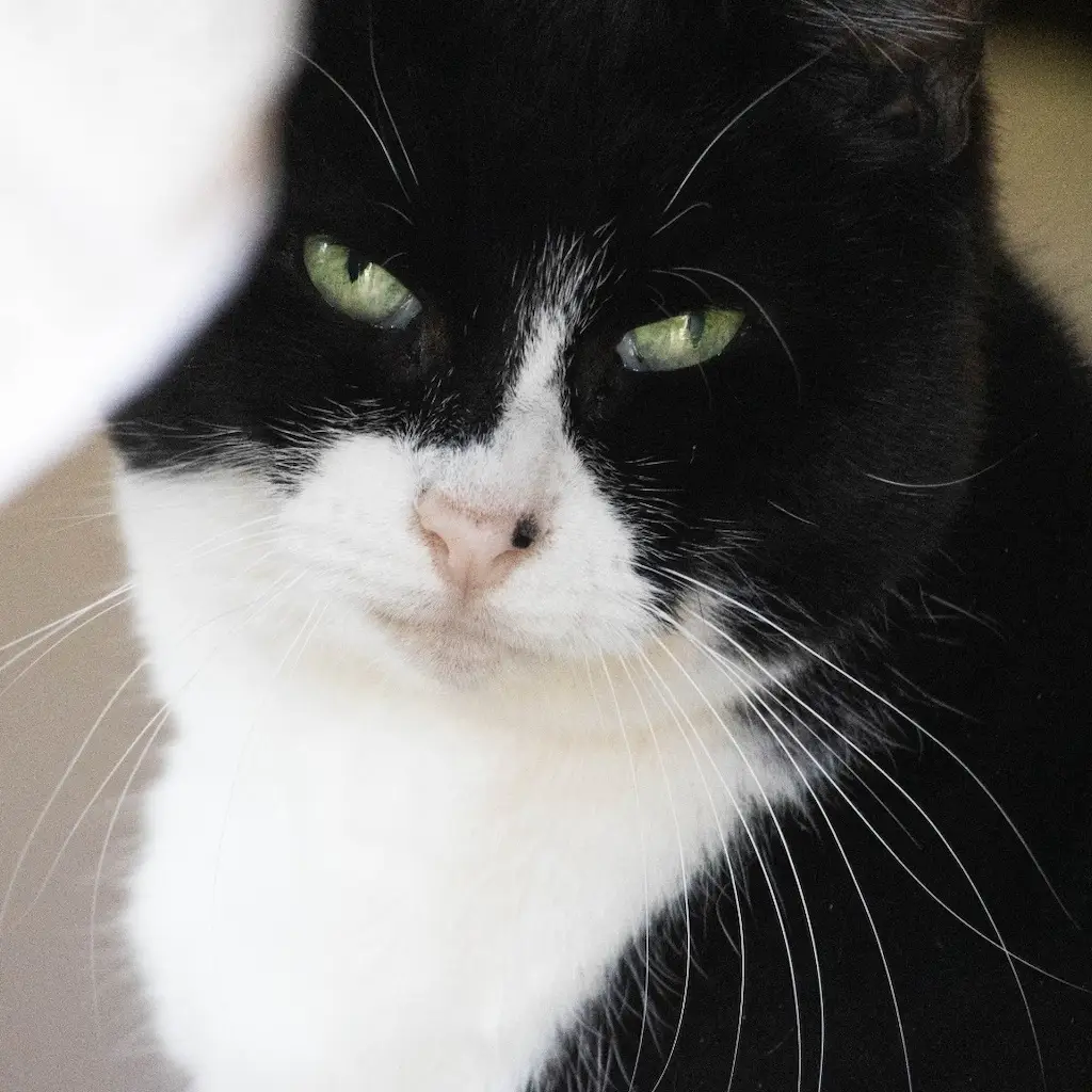 WhatsApp Image 2023-10-21 at 22.57.03 (2)