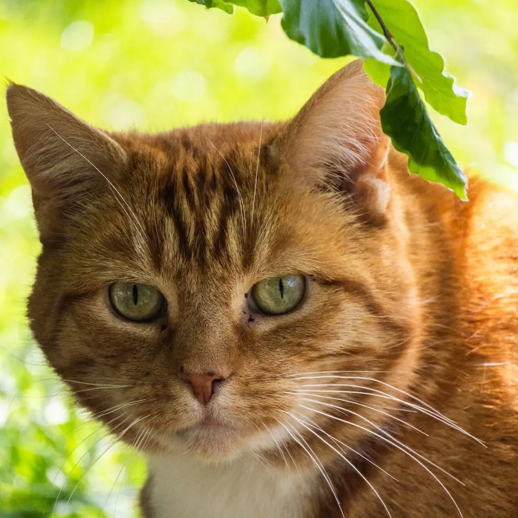 WhatsApp Image 2023-10-21 at 22.57.03