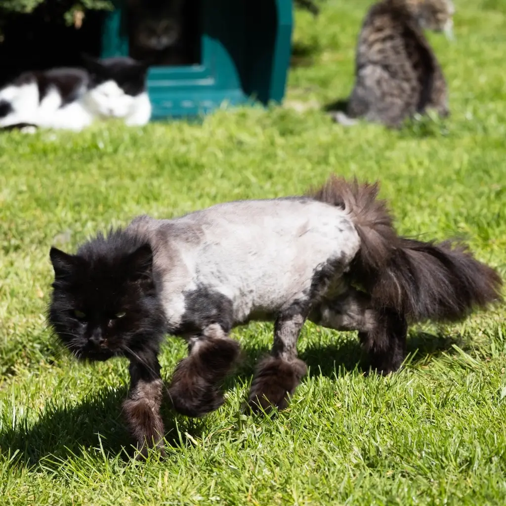 WhatsApp Image 2023-10-21 at 22.57.04 (1)