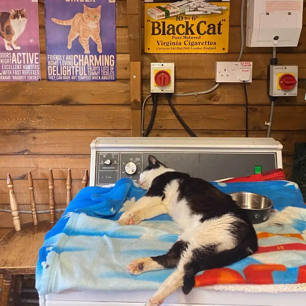 WhatsApp Image 2023-10-21 at 22.57.04 (2)