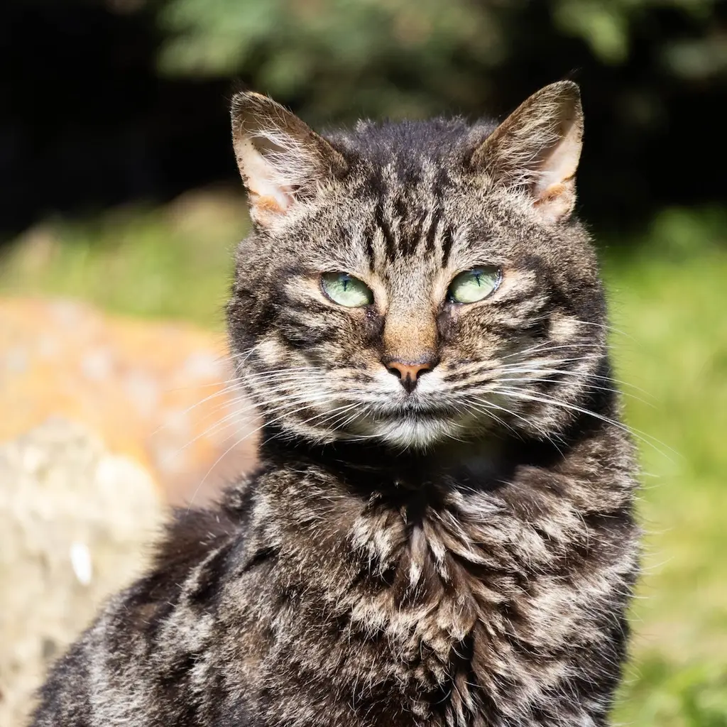 WhatsApp Image 2023-10-21 at 22.57.04