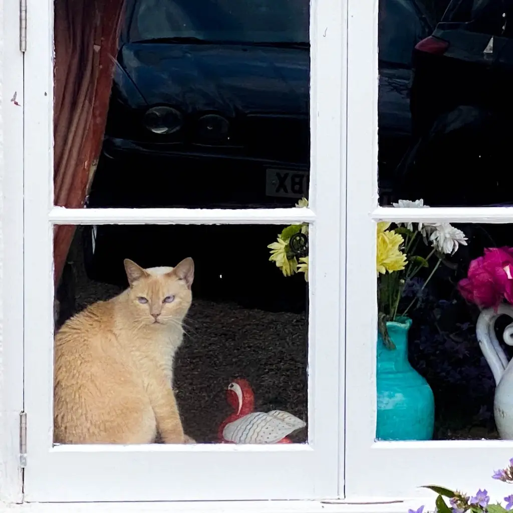 WhatsApp Image 2023-10-21 at 22.57.05 (1)