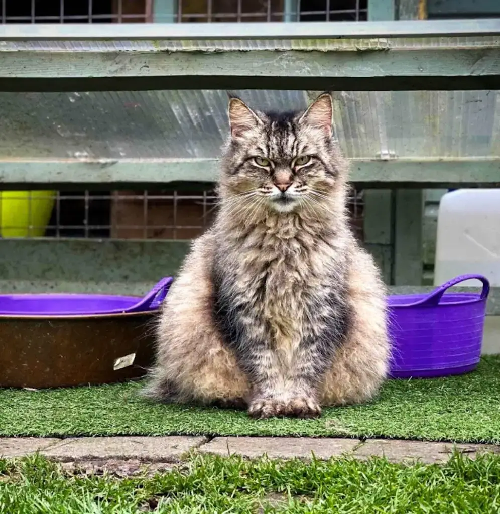 WhatsApp Image 2023-10-24 at 23.25.03