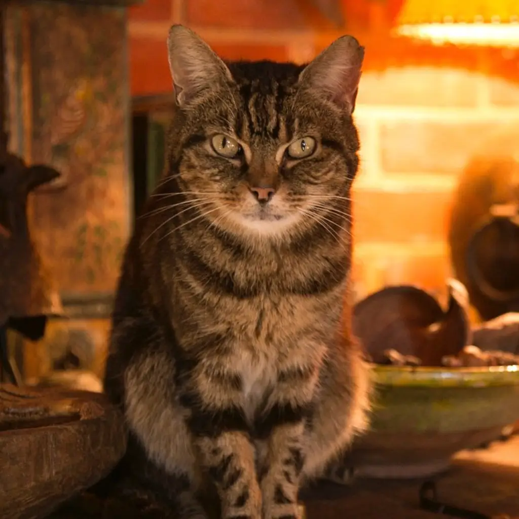 Screenshot 2024-01-25 at 17.23.40