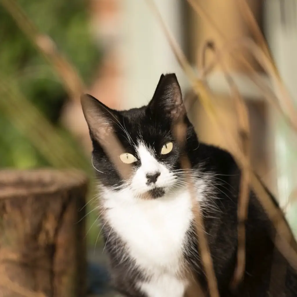 Screenshot 2024-01-25 at 17.23.56