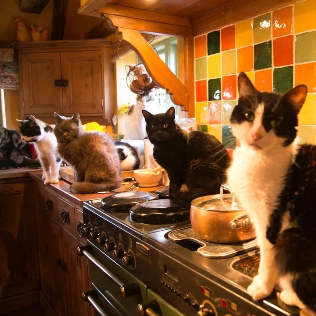 Screenshot 2024-01-25 at 17.24.17