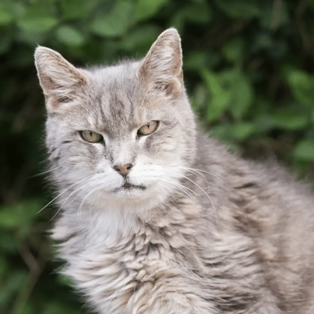 Screenshot 2024-01-25 at 17.25.09