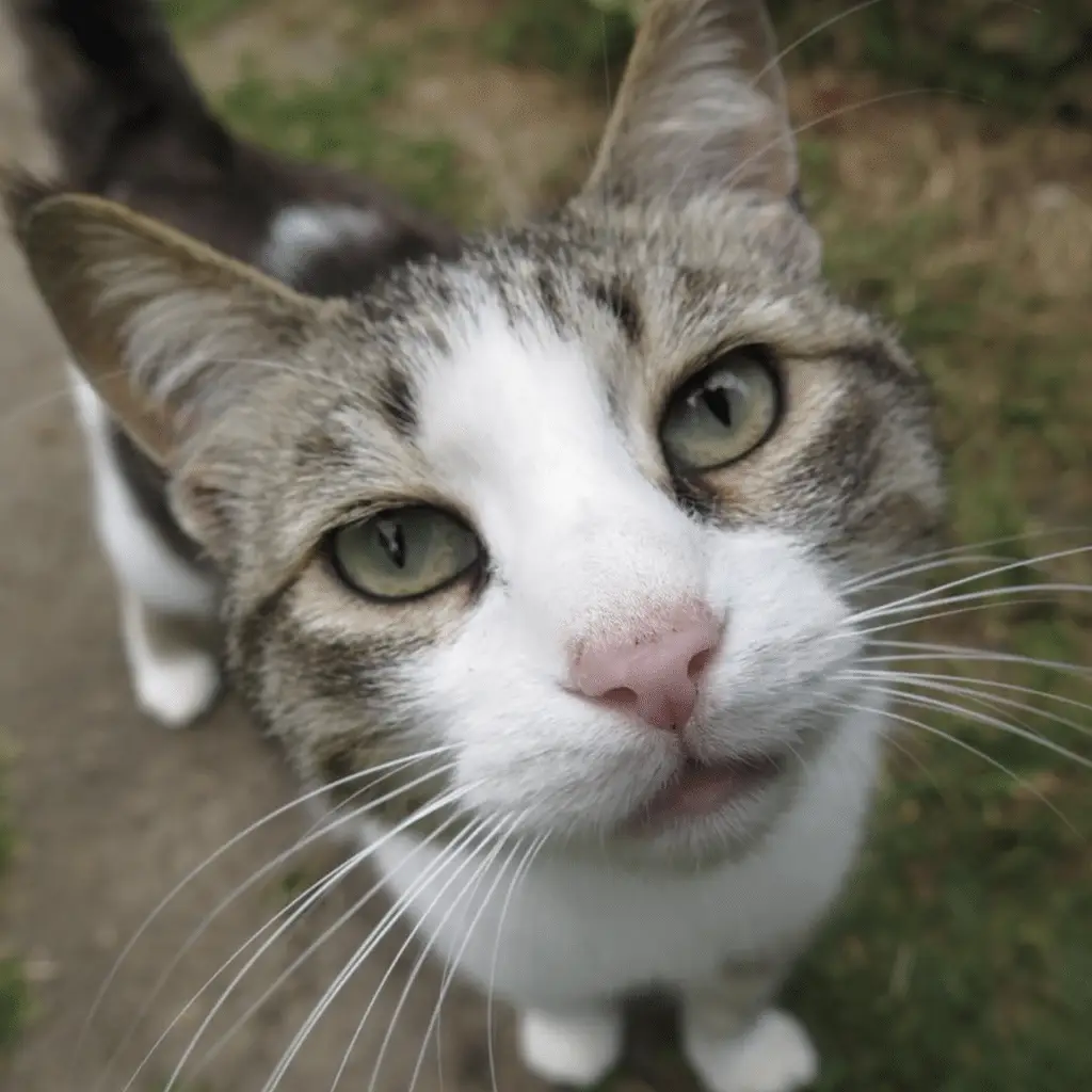 Screenshot 2024-01-25 at 17.25.19