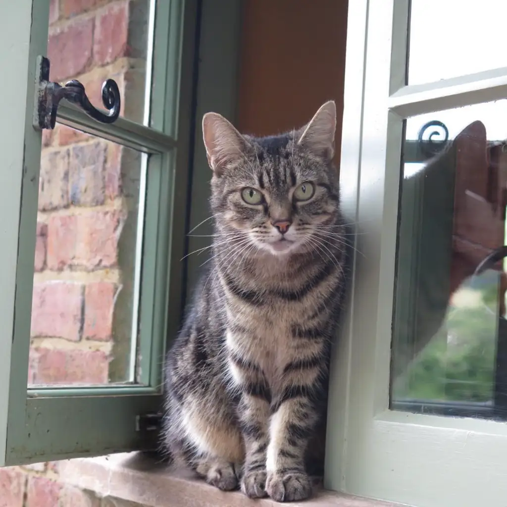 Screenshot 2024-01-25 at 17.25.29