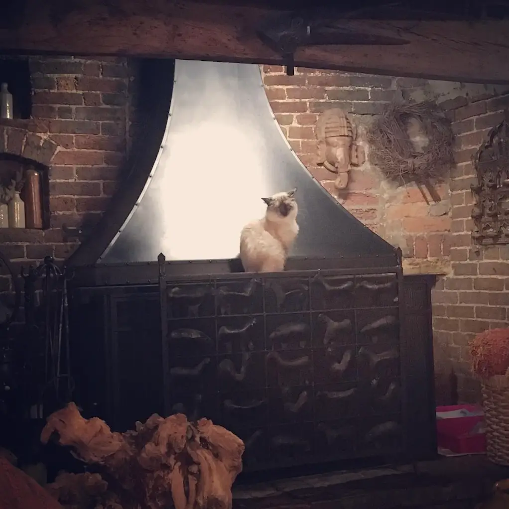 Screenshot 2024-01-25 at 17.27.12