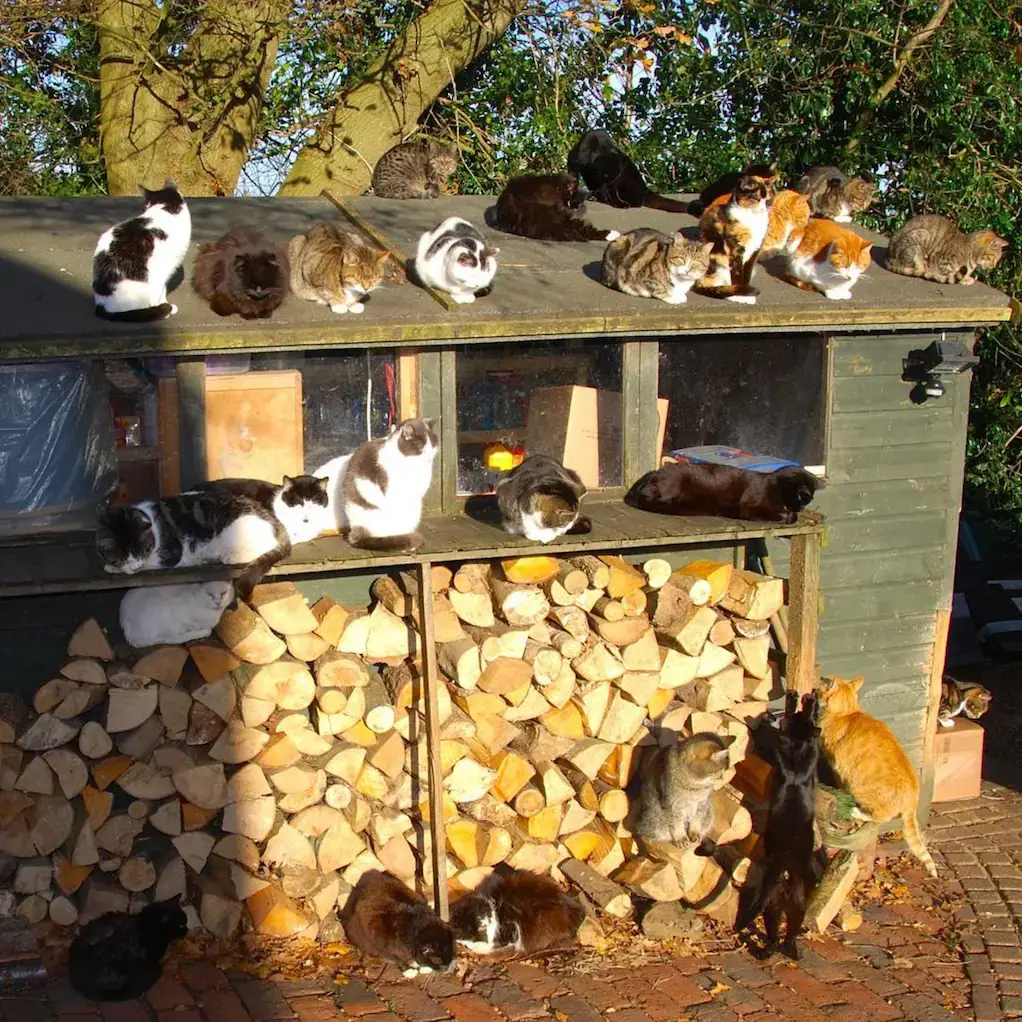 Screenshot 2024-01-25 at 17.27.26