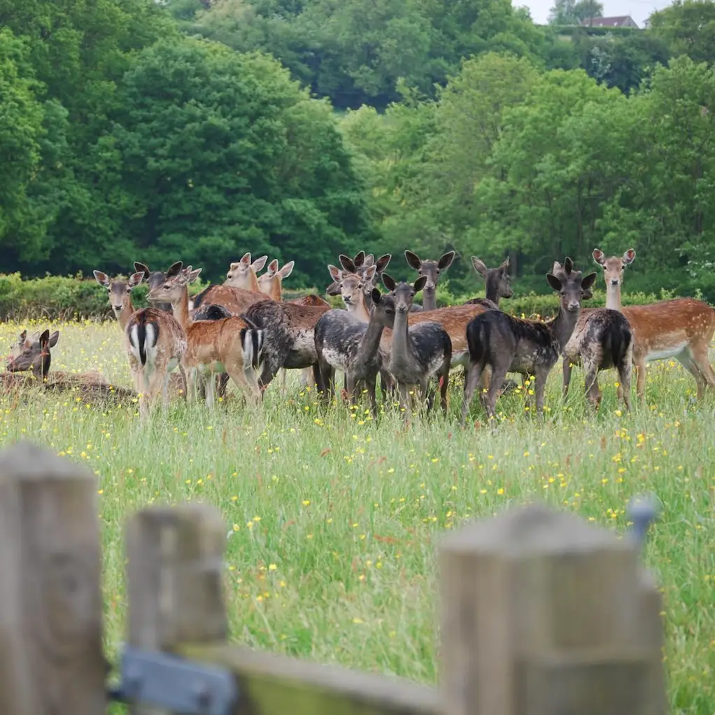 Screenshot 2024-01-25 at 17.27.44