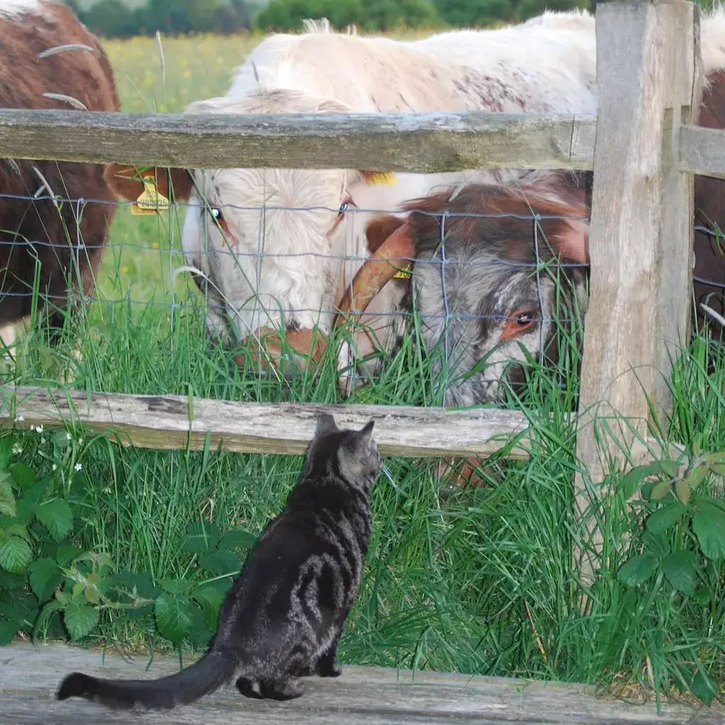 Screenshot 2024-01-25 at 17.30.55