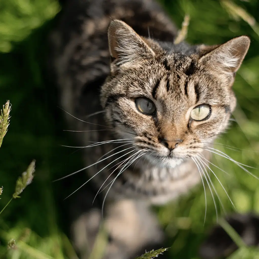 Screenshot 2024-01-25 at 17.31.13