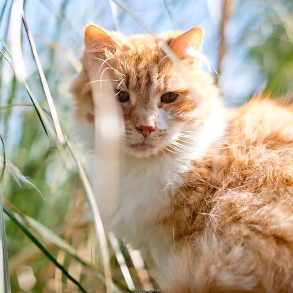 Screenshot 2024-01-25 at 17.31.23