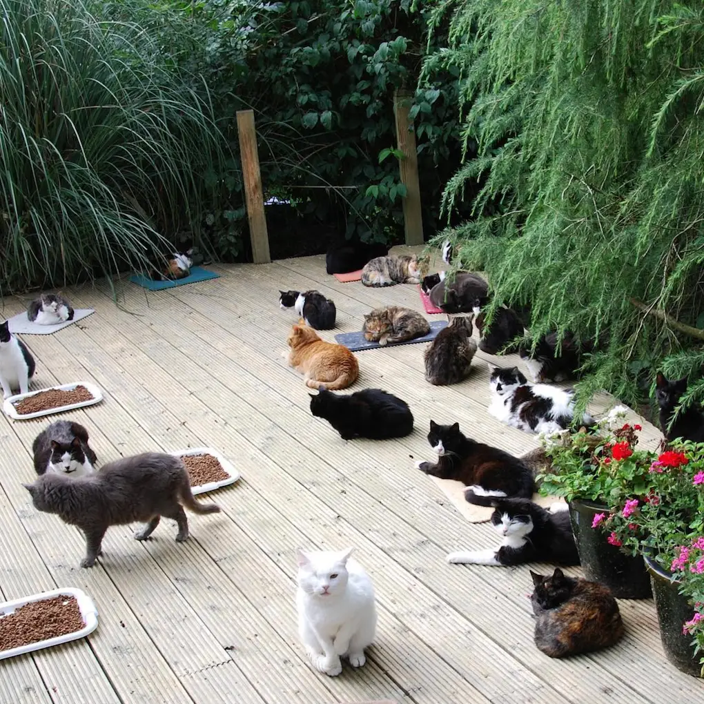 Screenshot 2024-01-25 at 17.31.34