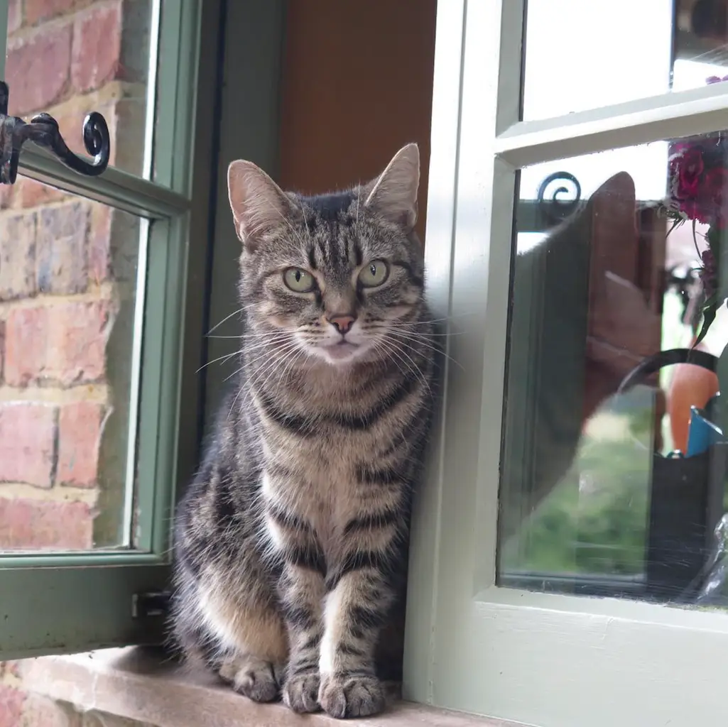 Screenshot 2024-01-25 at 17.31.55