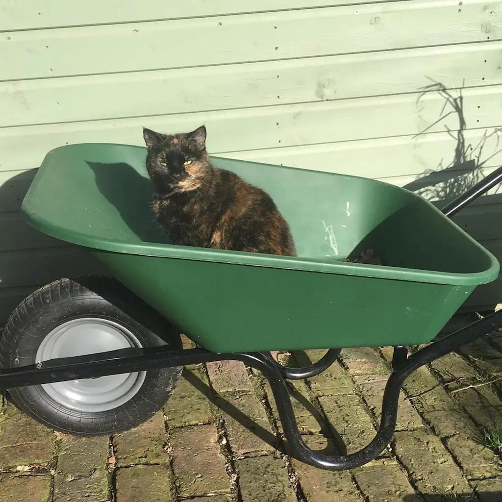 Screenshot 2024-01-25 at 17.33.28