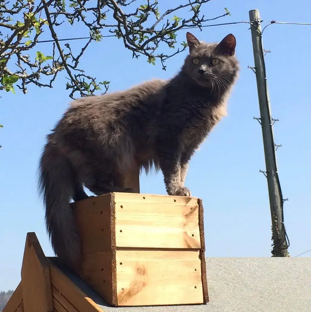 Screenshot 2024-01-25 at 17.33.49