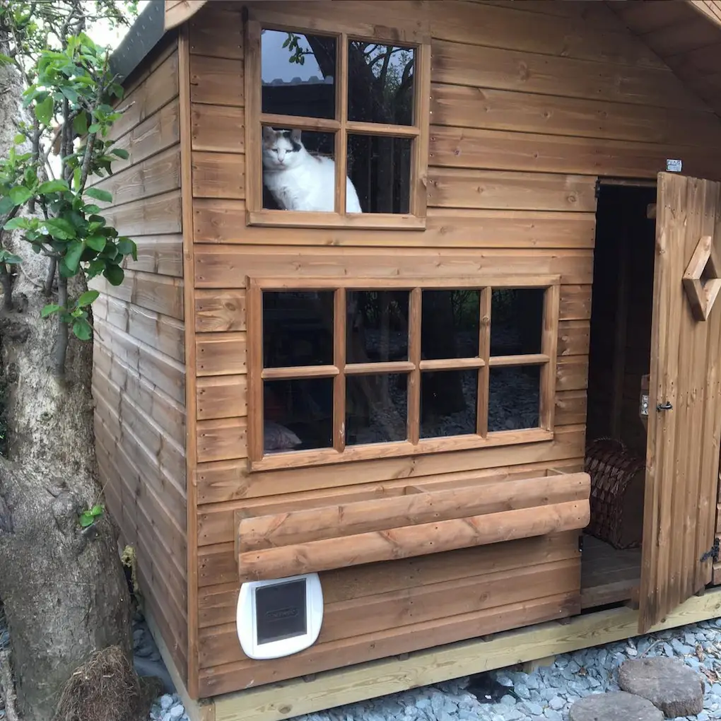 Screenshot 2024-01-25 at 17.34.03