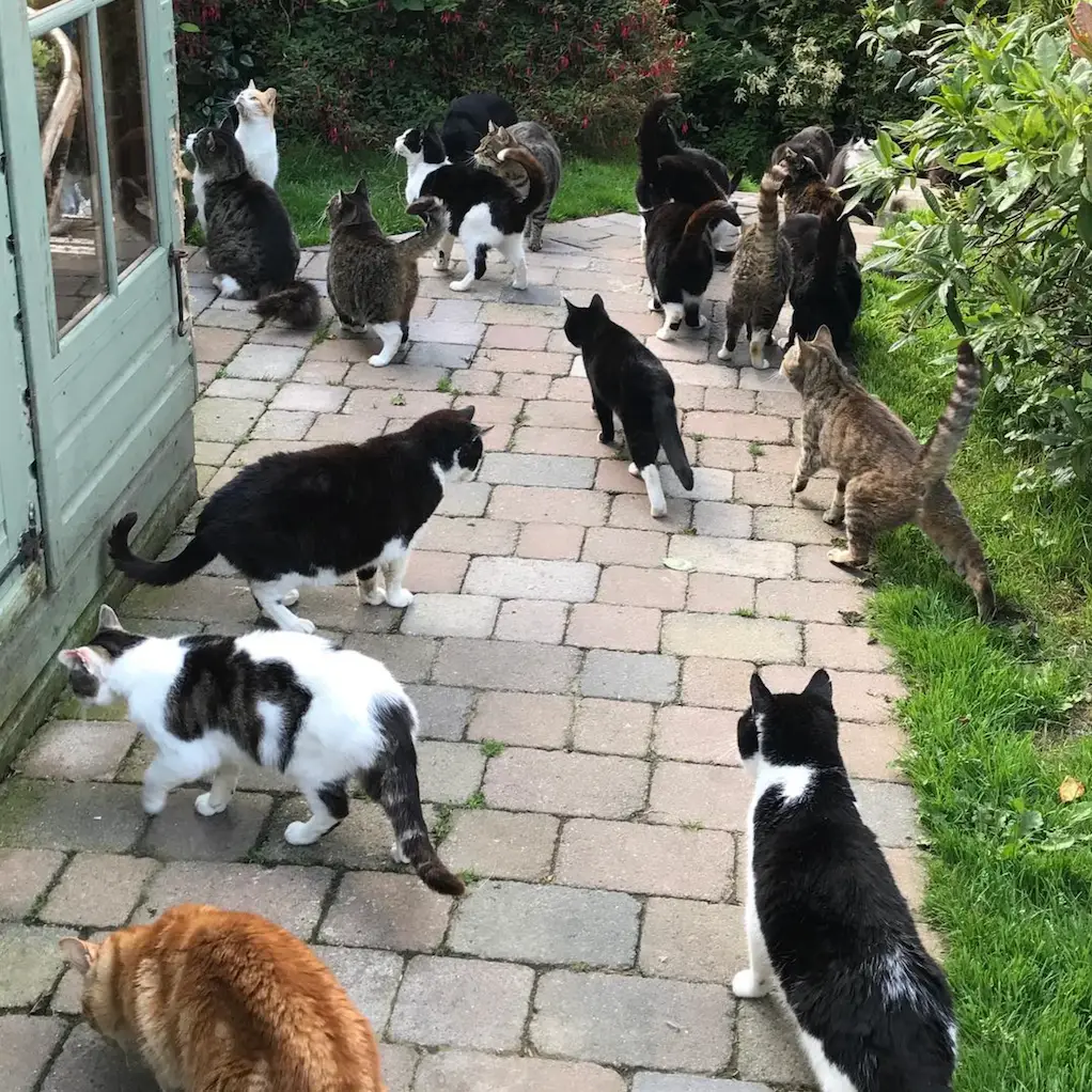 Screenshot 2024-01-25 at 17.34.31