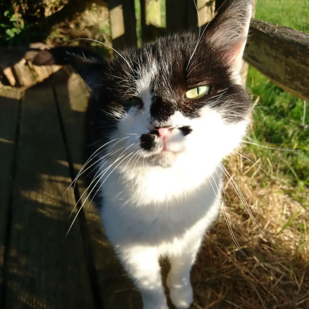 Screenshot 2024-01-25 at 17.34.45