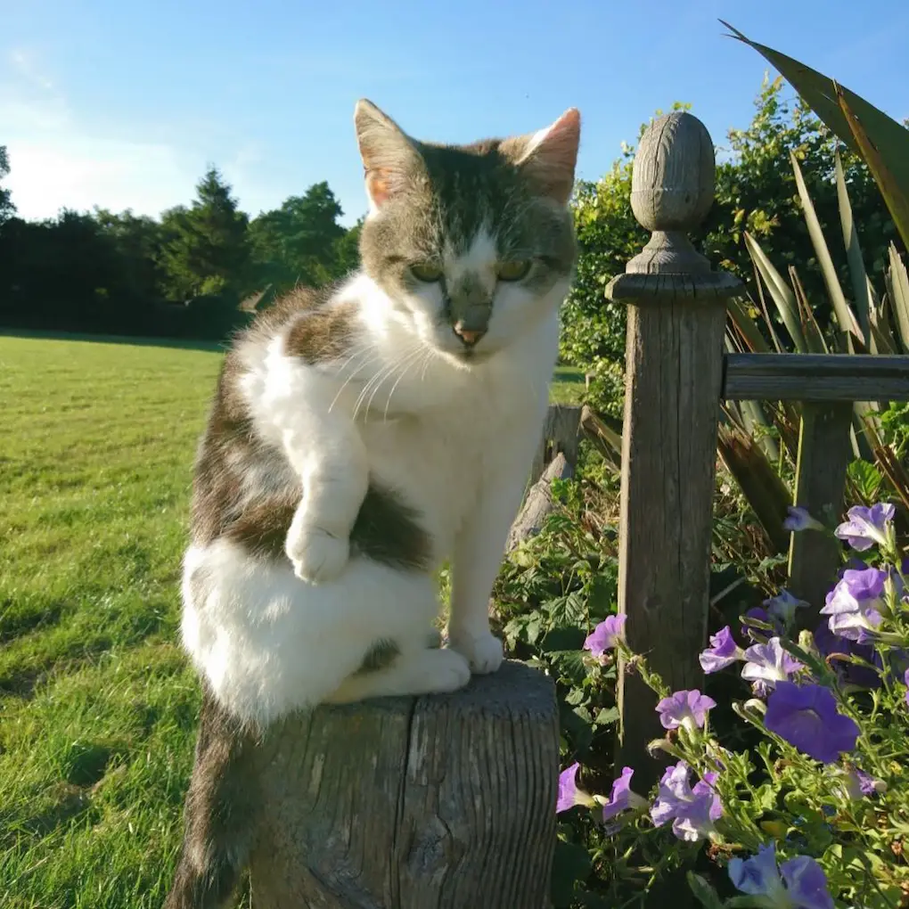 Screenshot 2024-01-25 at 17.34.58