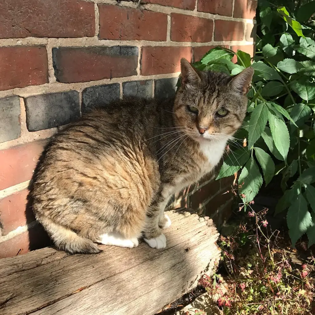 Screenshot 2024-01-25 at 17.35.10