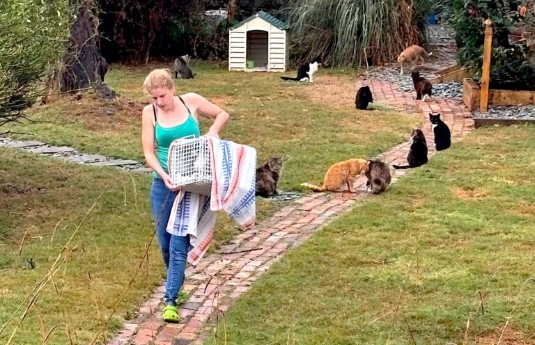 A carer walks along a brick path through the sanctuary